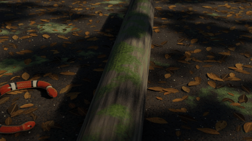 Two banded snakes slither up and over a mossy log